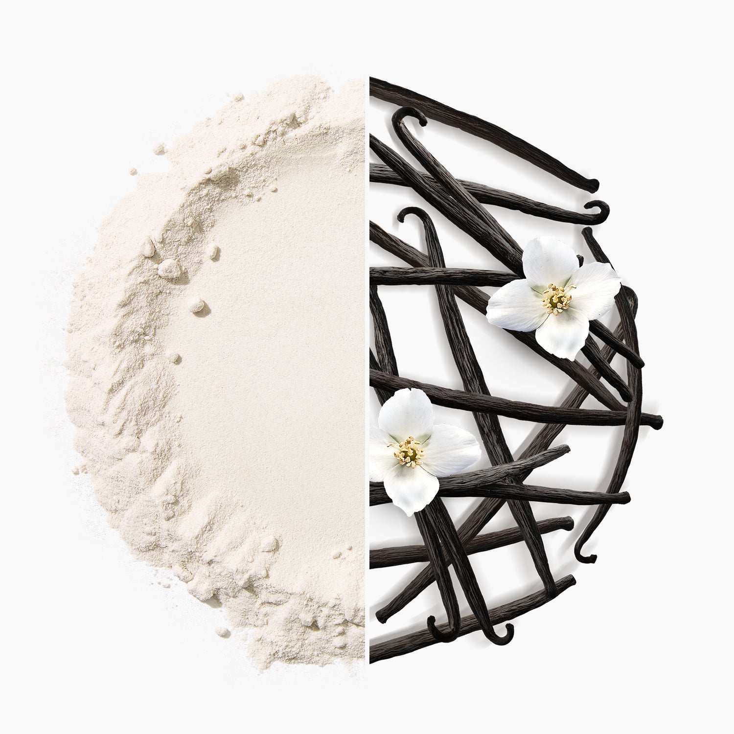 Fit Pro Whey Protein